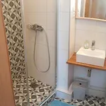 Zara Goscinne Oraz Zara Nowosc
