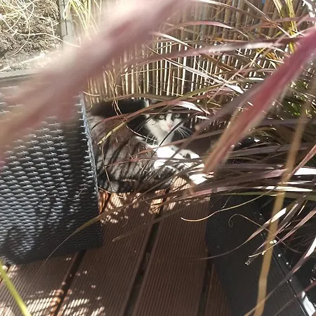 Zara Goscinne Oraz Zara Nowosc Habitación en casa particular *