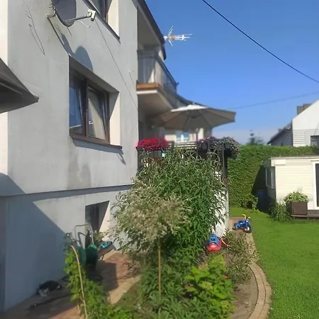 Zara Goscinne Oraz Zara Nowosc