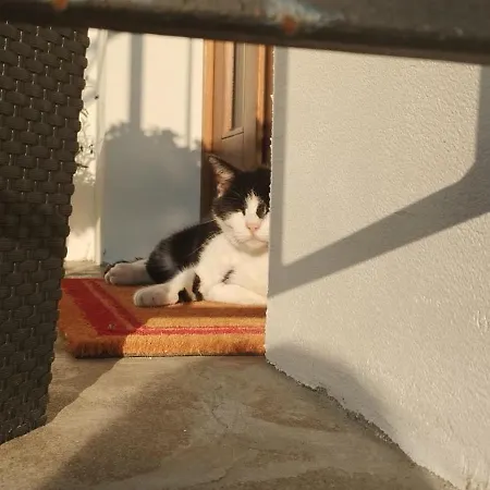Zara Goscinne Oraz Zara Nowosc Séjour chez l'habitant