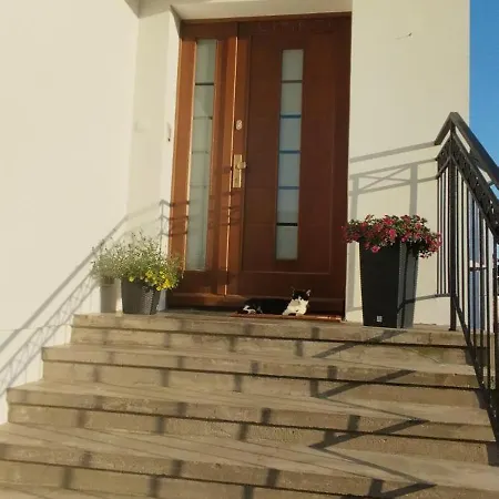 Zara Goscinne Oraz Zara Nowosc * Władysławowo