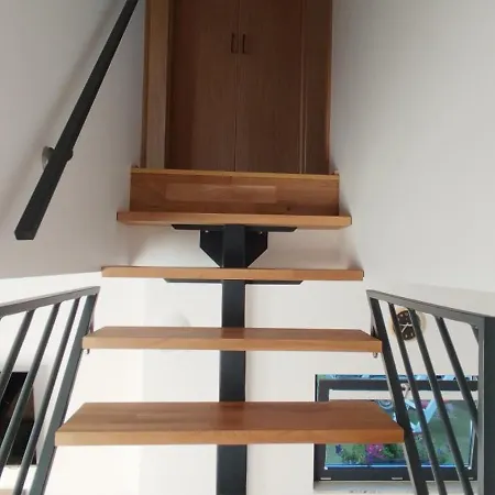 Zara Goscinne Oraz Zara Nowosc