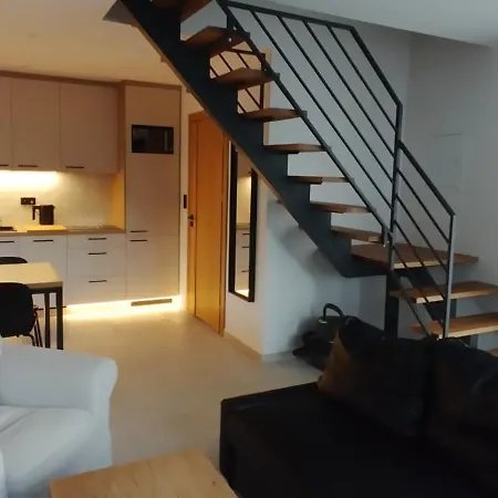 Zara Goscinne Oraz Zara Nowosc *