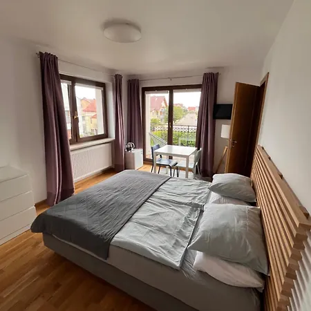 Zara Goscinne Oraz Zara Nowosc