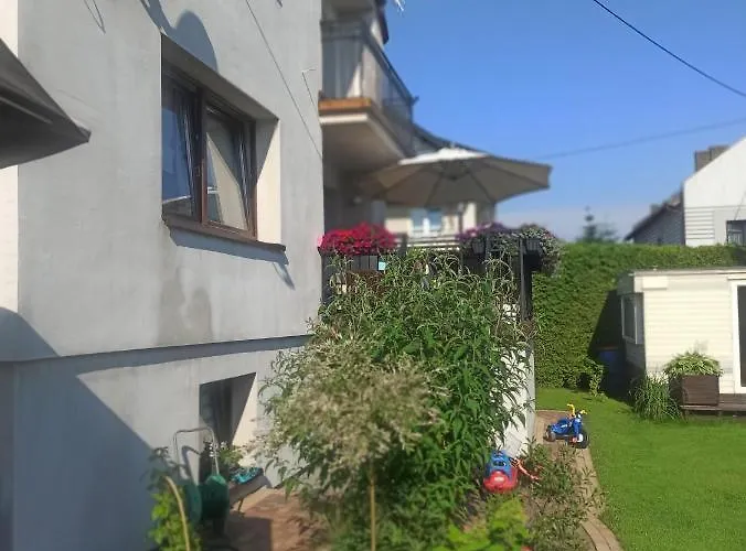 Zara Goscinne Oraz Zara Nowosc