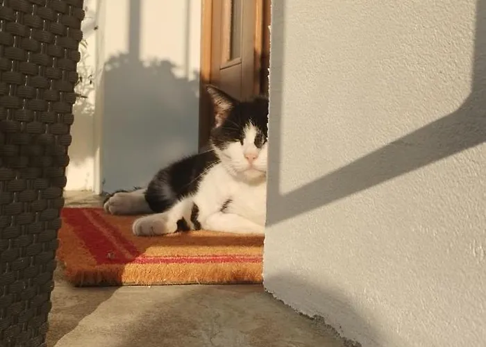 Zara Goscinne Oraz Zara Nowosc Ubytování v soukromí