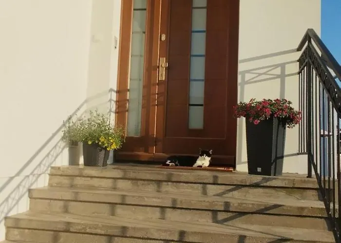 Zara Goscinne Oraz Zara Nowosc * Władysławowo