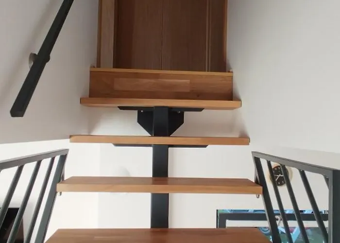 Zara Goscinne Oraz Zara Nowosc