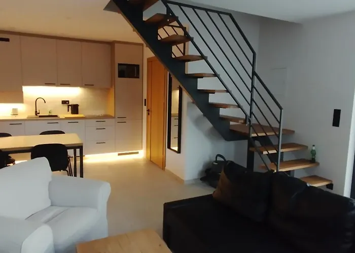 Zara Goscinne Oraz Zara Nowosc *